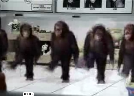 Monkeys + Riverdance = Awesome